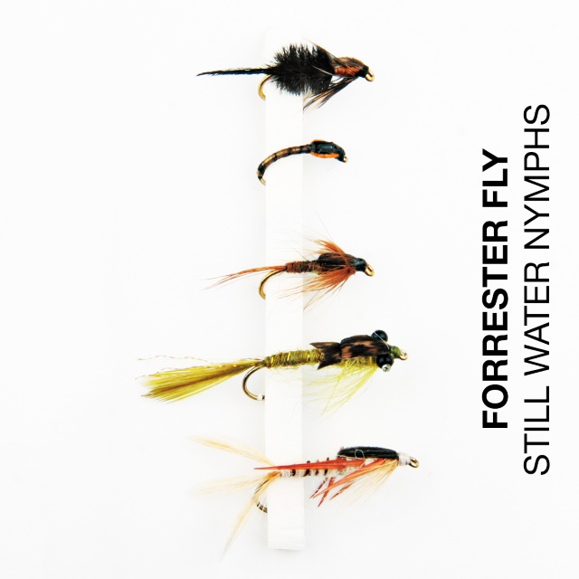 Forrester Fly-Sortiment Still Water Nymphs