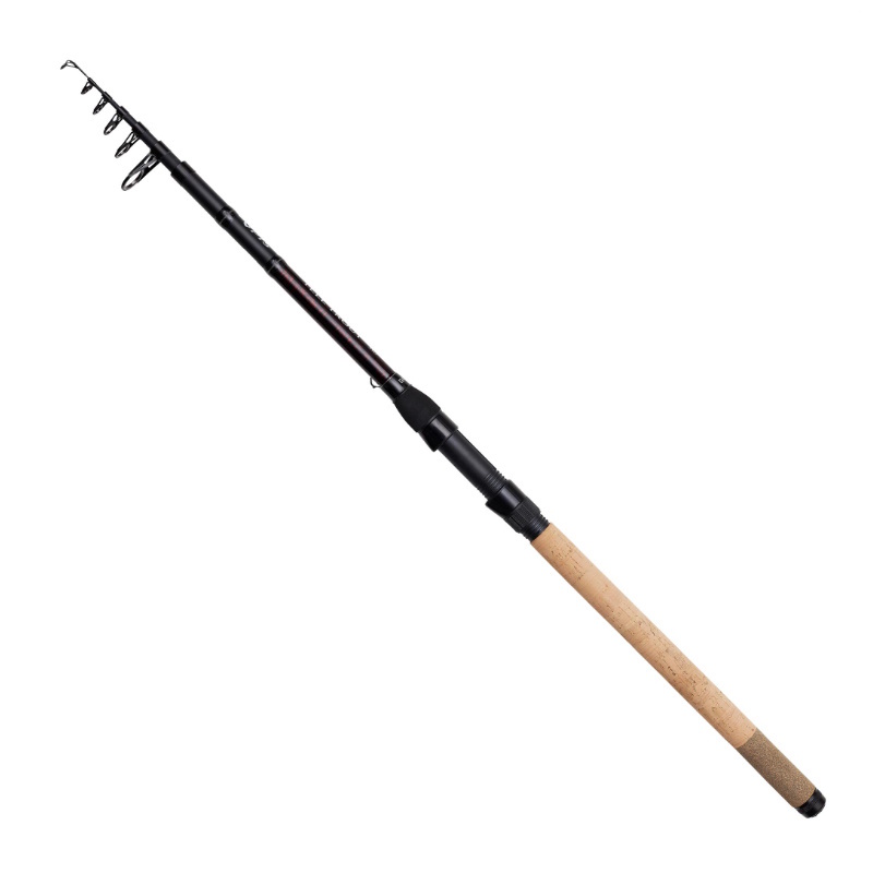 PTS II Tele Trout 3,10m 5-20g