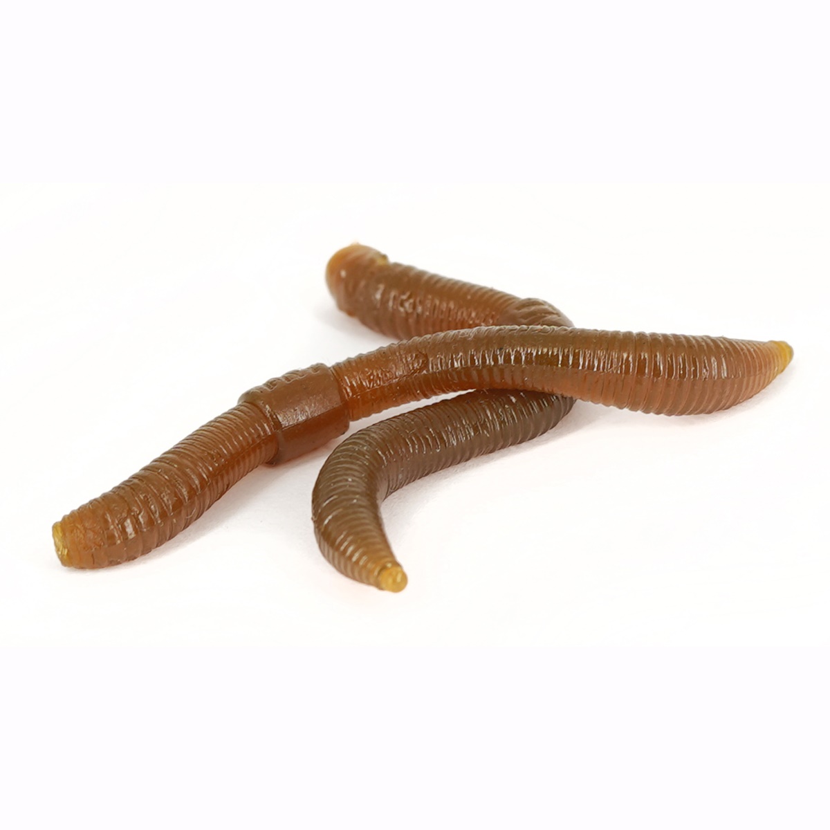 Trout Master Dendrobaena 60