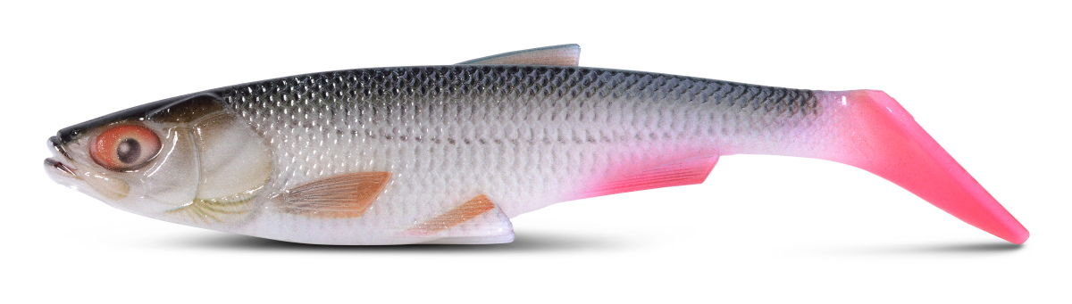 IRON CLAW Belly Boy NG Nature Shads 15 cm Roach