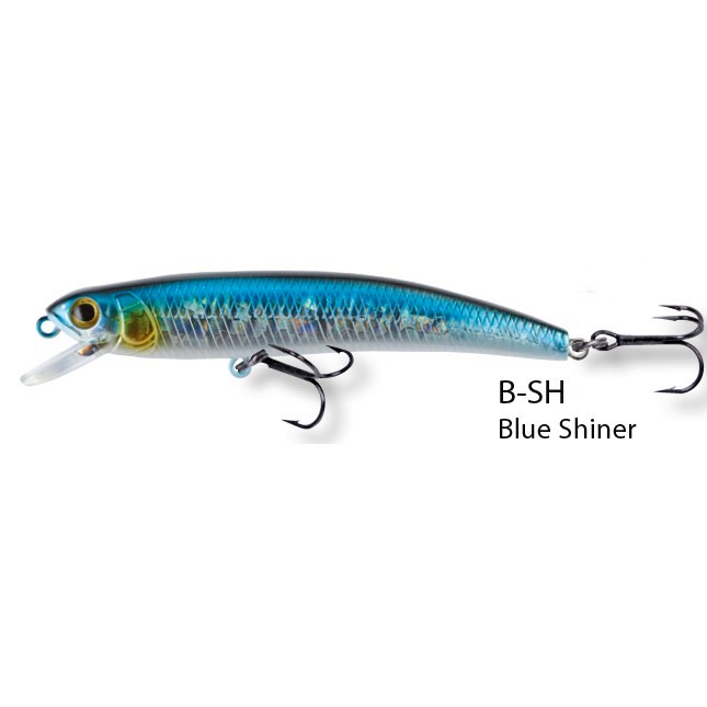 Blue Shiner