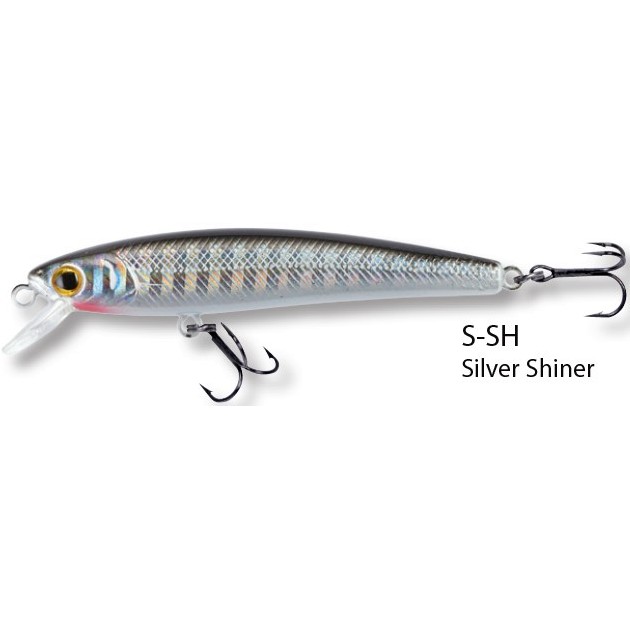 Silver Shiner