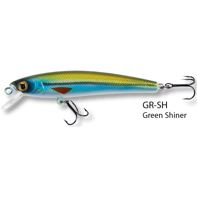 Green Shiner