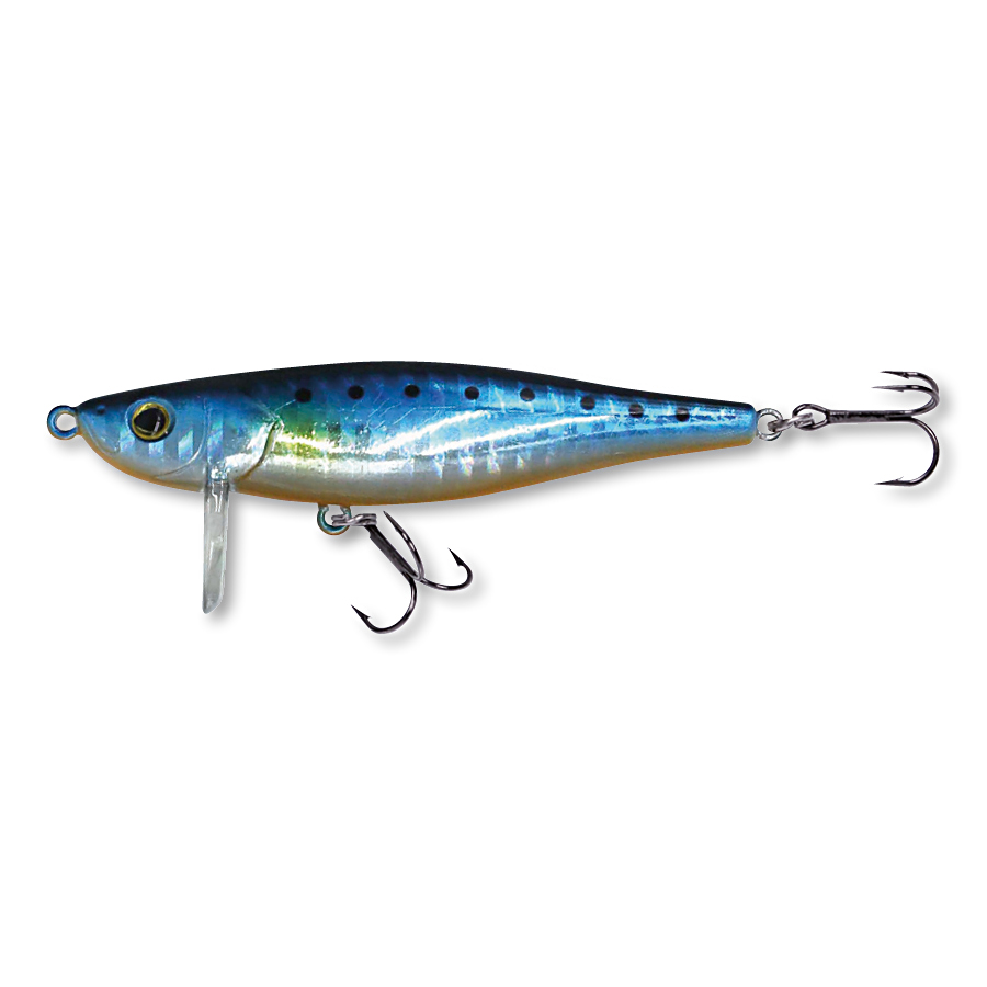 Blue Sardine